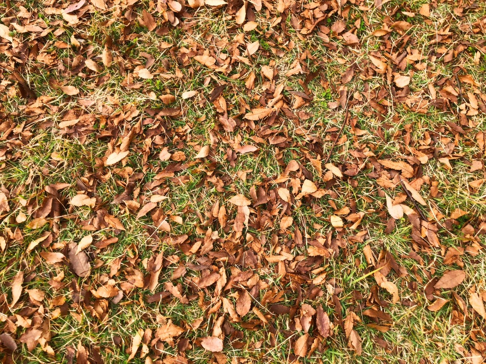 外構　メンテナンス